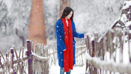 坚持就是胜利作文400字